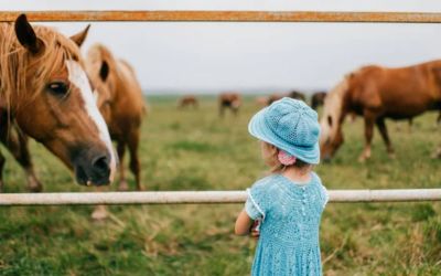 Équitation