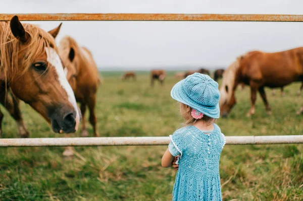 Équitation